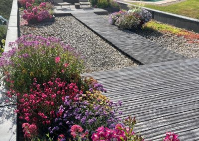 toit terrasse vegetalisé